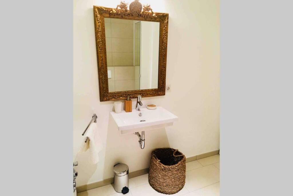 Large Family Retro Flat In City Center- Large Terrace & Garden View, Free Parking Lüksemburg Dış mekan fotoğraf