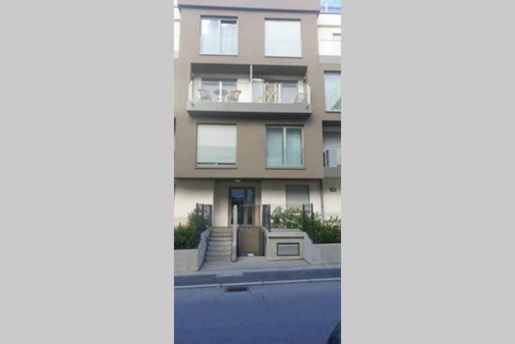 Large Family Retro Flat In City Center- Large Terrace & Garden View, Free Parking Lüksemburg Dış mekan fotoğraf